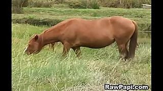 Horny Sexy Latino Gay Anal Pounding Hardcore