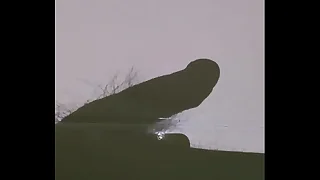 早晨勃起后在影子下自慰射精